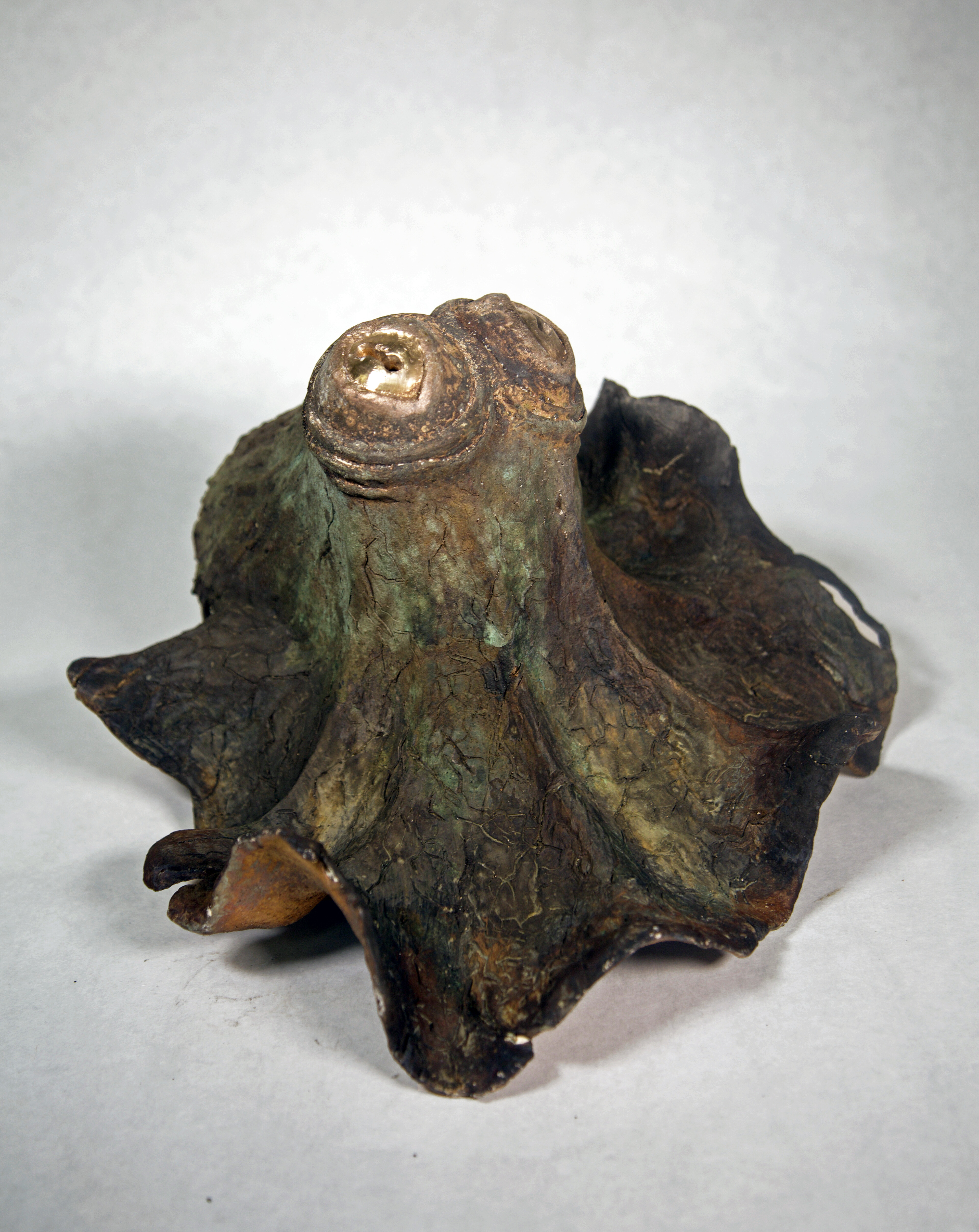 Pulpo